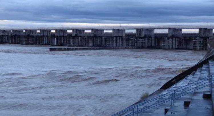 SC castigates Yamuna river water board