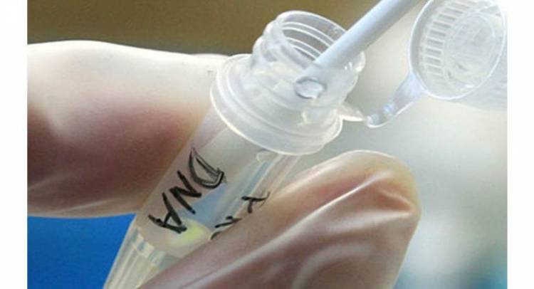 The law commission recommended the Human DNA testing should be used only for identification purposes