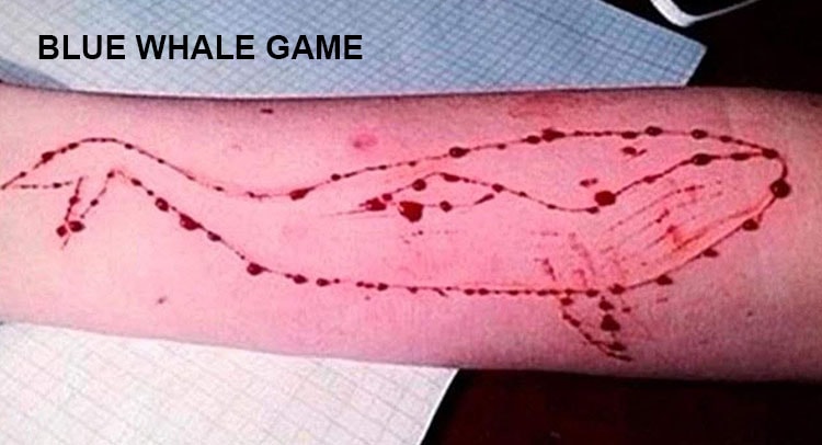 Supreme Court Issues Notice to Centre in PIL Urging Ban on BlueWhale Game