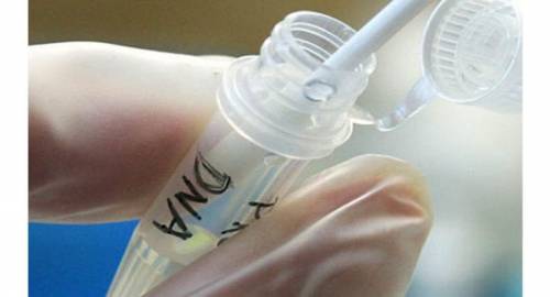 The law commission recommended the Human DNA testing should be used only for identification purposes