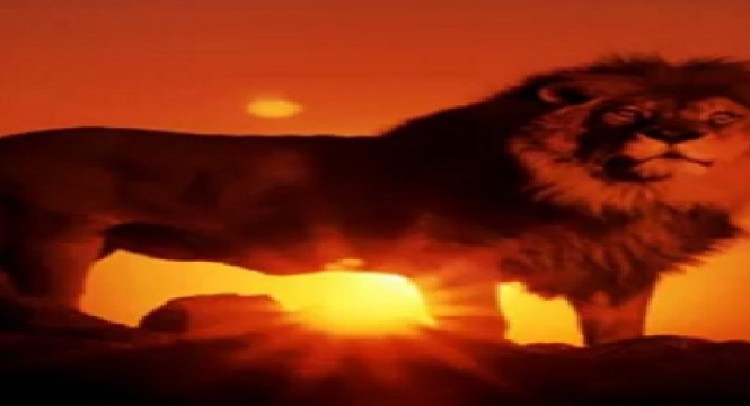 money of an accused and his son.. black or white.. legal or illegal ?